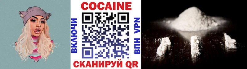 как найти закладки  Жиздра  Cocaine 97% 