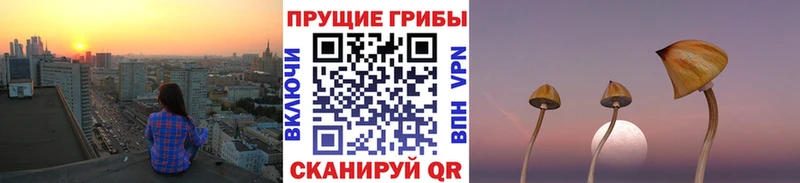 omg онион  Жиздра  Псилоцибиновые грибы мухоморы  наркота 