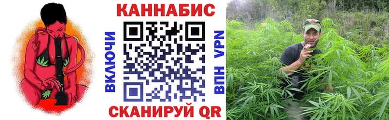 МЕГА вход  наркотики  Жиздра  Канабис SATIVA & INDICA 